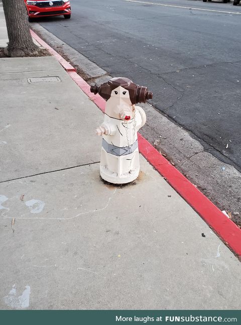 This is not the hydrant you expected today