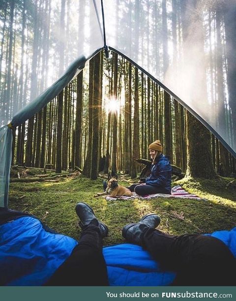 Forest adventures