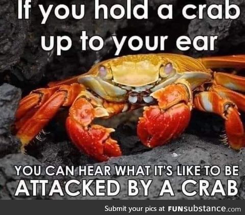 Wooop wooop woop woop