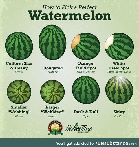 Be more picky with your h20 melons