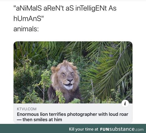 Just kiddin, bud