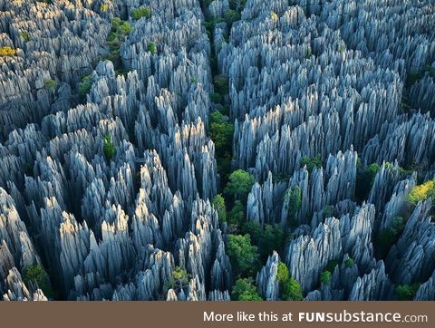 The Stone Forest in Madagascar
