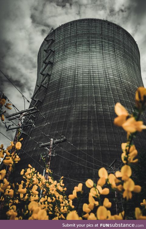 Went to check out an abandoned power plant yesterday