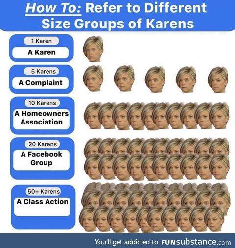 A gaggle of Karen’s