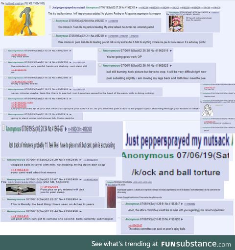 Anon peppersprays his balls on /k/