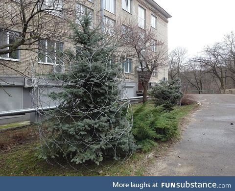 Christmas tree in Russia, Rostov. "Christmas is all around"