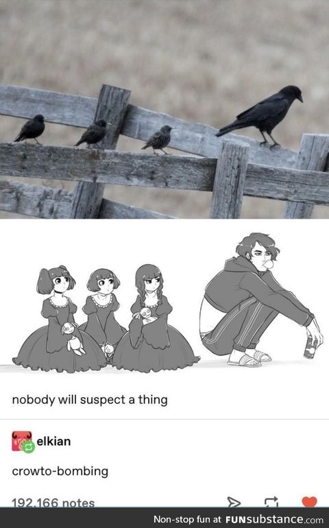 Gopnik crow