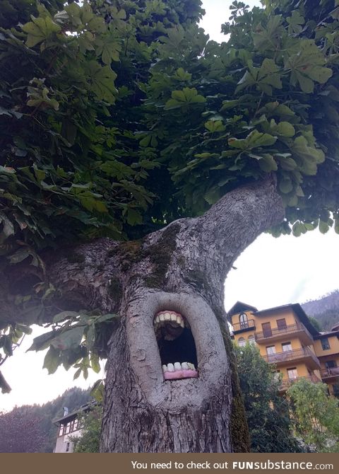 The Ents are not pleased