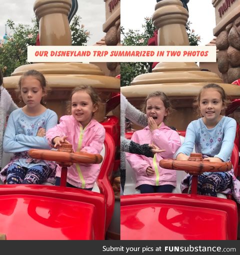 The real disneyland experience