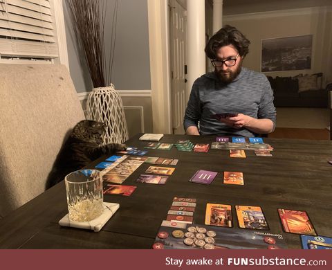 Day 10 of quarantine. The cat continues to kick our asses at board games ????