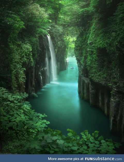Japan oasis