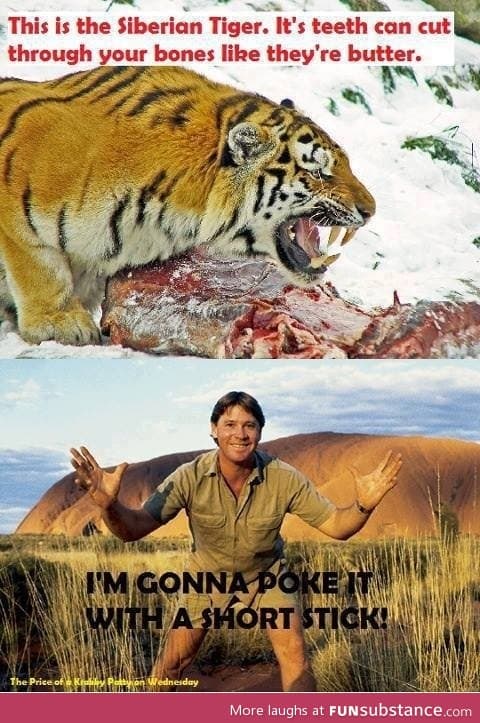 Steve Irwin