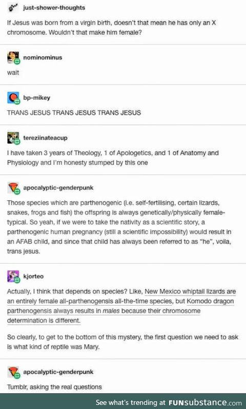 The reptile side of tumblr