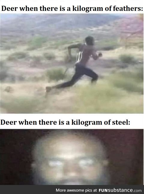 Stoopid deer