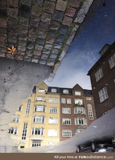 A picture of a puddle in Copenhagen
