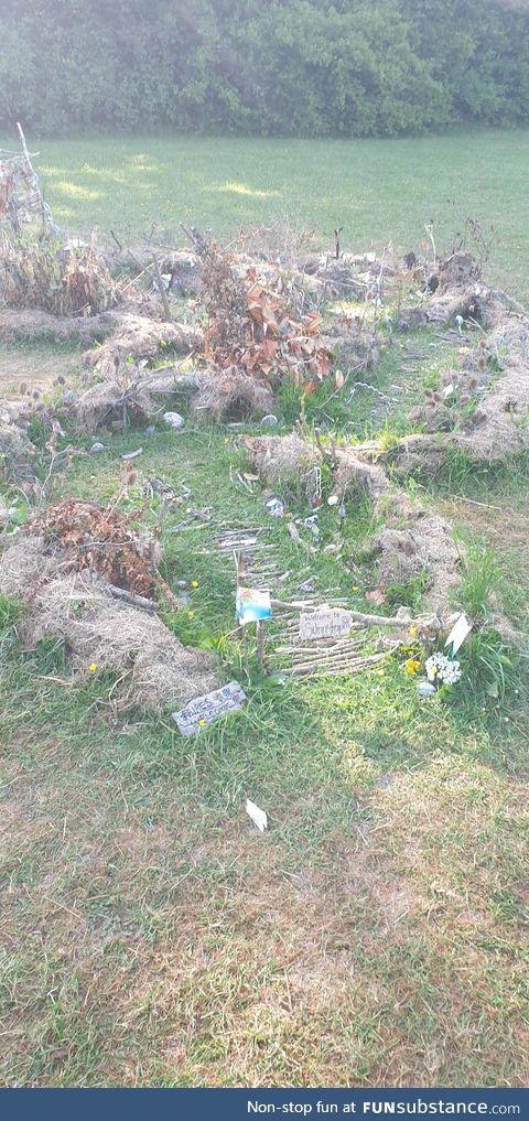 Saw a fairy village on a walk, made by a local child