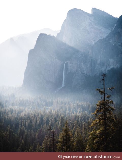 This morning in Yosemite