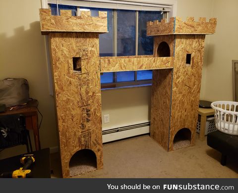 With all the bad news lately, I just wanted to post a picture of this cat castle my wife