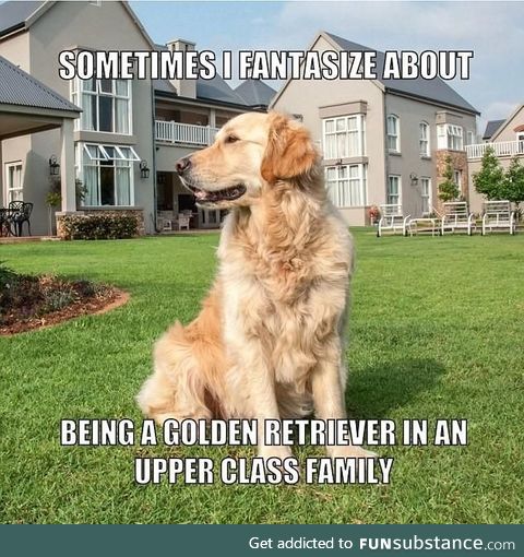 Preferably somewhere in Maine