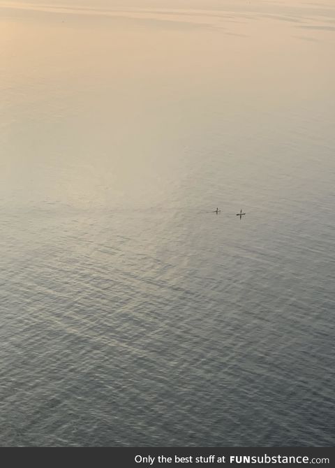 Just 2 people having a paddle