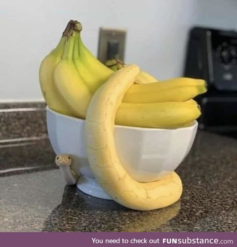 Danger banana