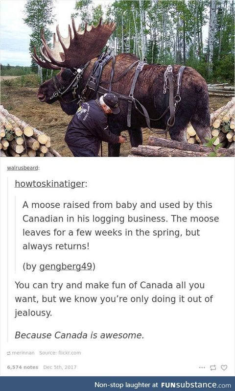Let the meese work, eh?