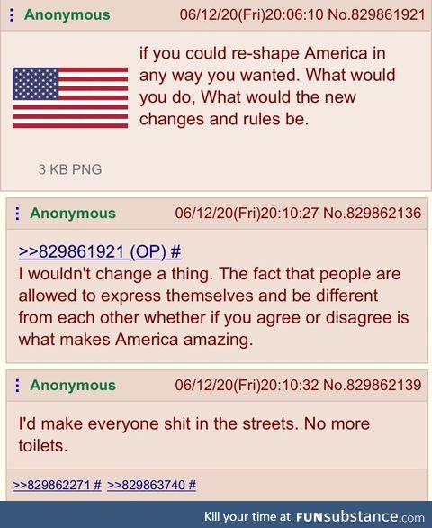 Anons have differing opinions on America