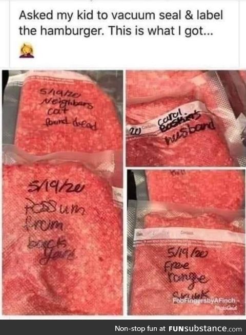 I asked my kid to vacuum seal & label the hamburger