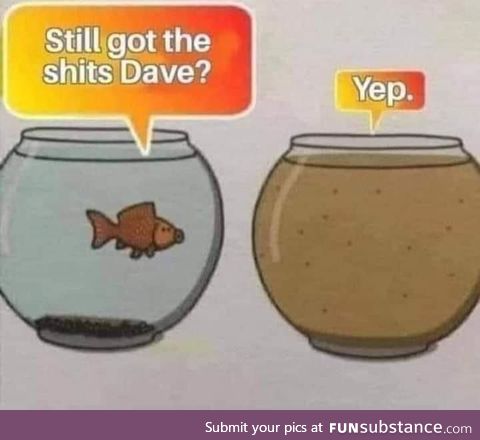 Fish life