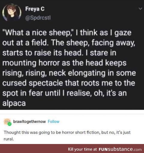 Always expect the stupid