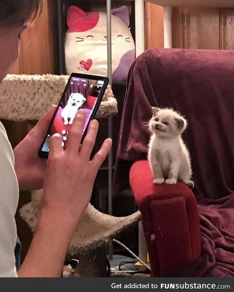 Picture of the day
