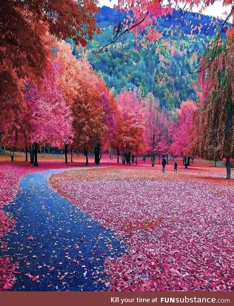 Autumn in Switzerland