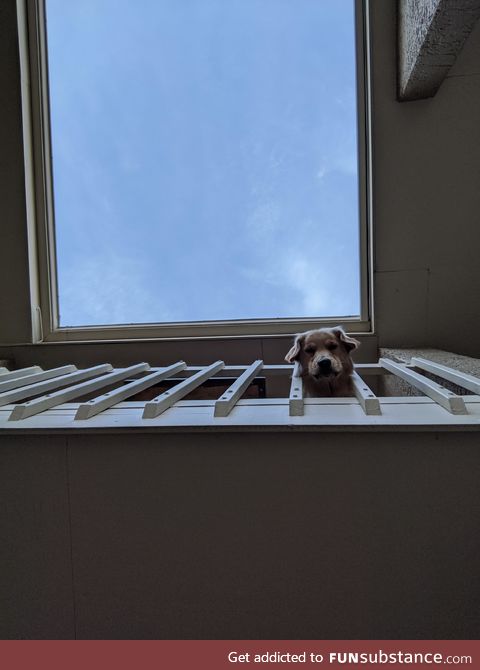 So we're decorating our balcony for Halloween and my boyfriend tells me to look up