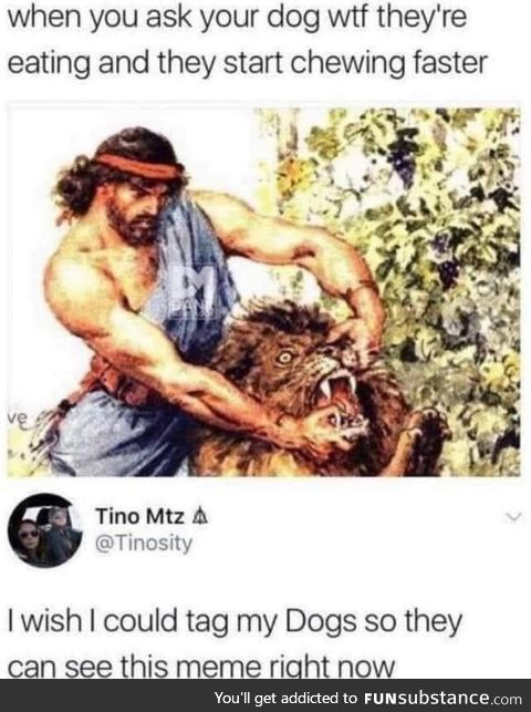 #dog