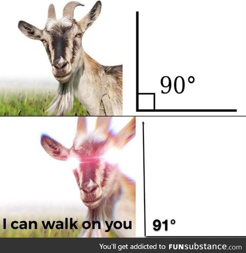 Goats are weird