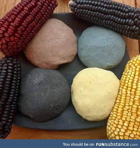 Different shades of native corn and its dough