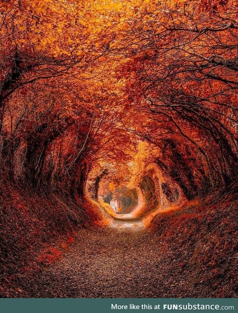 Enjoy a beautiful autumn day on the Roman Road in the city of Chichester ????????! One of