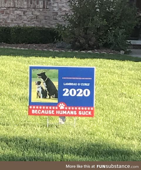 House next door in our politically divided neighborhood