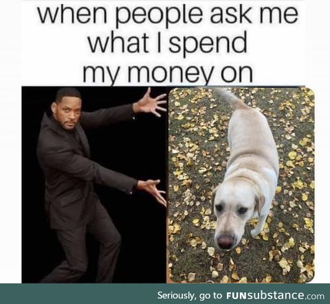 I miss my dog