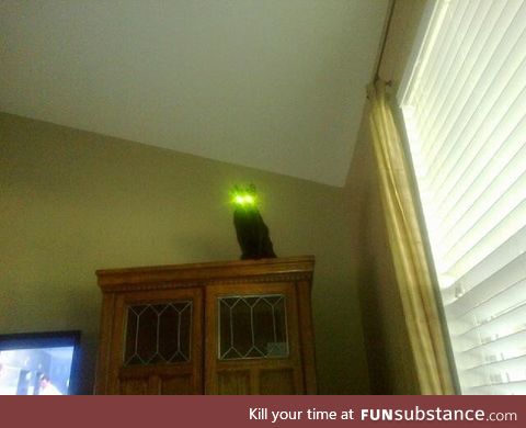 This cat with glowing eyes