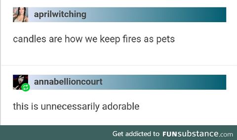 Other pets can't hold a candle to fire
