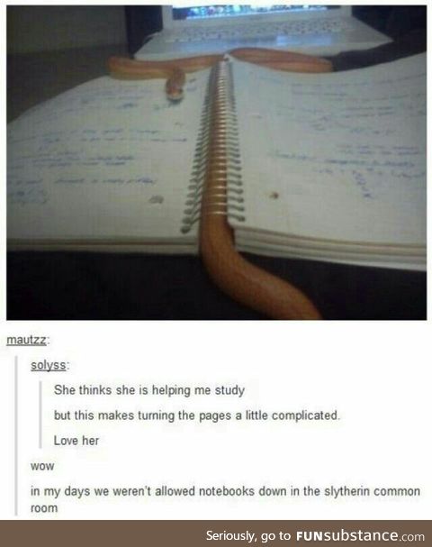 She's fixing to Slytherin your notebook