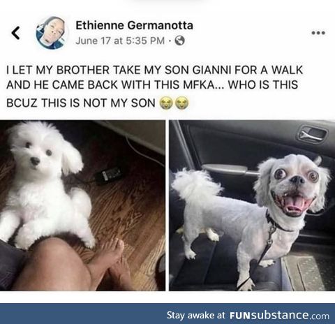 There’s been a mixup at the dog park