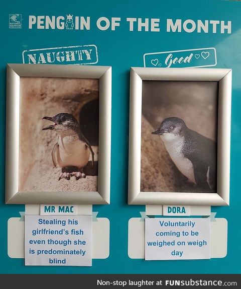 Mac is going to penguin prison for this