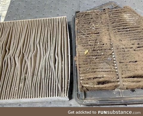 Customer: “I don’t know why my car has no power”