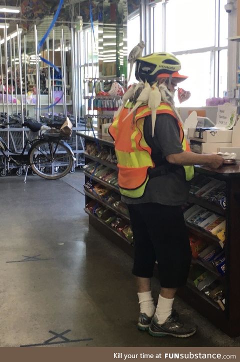A nice lady who rode a bike to the dollar store with 6 c*ckatiels on her shoulders and 1