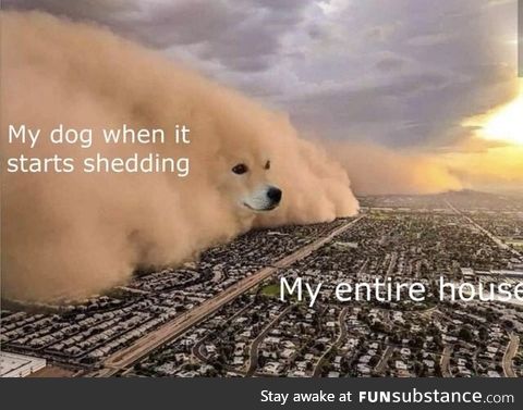 Furry fun times.
