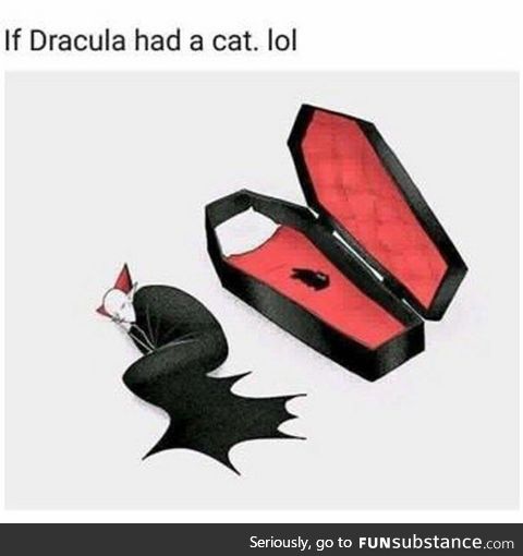 If Dracula had a cat
