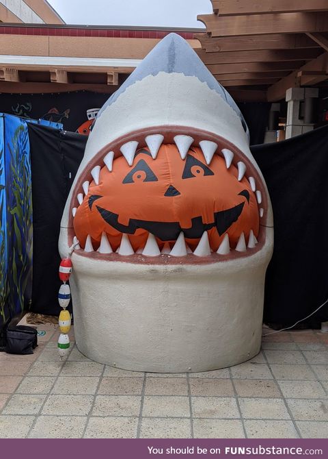 Decorations at my local Aquarium