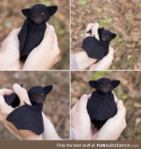 Blessed bat